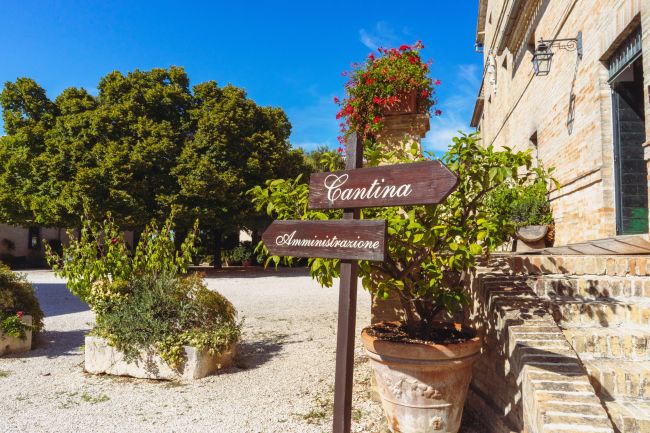 Tenuta Conte Lucangeli
