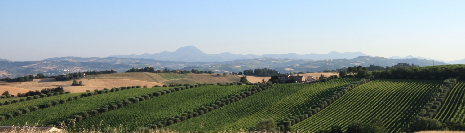Montecappone