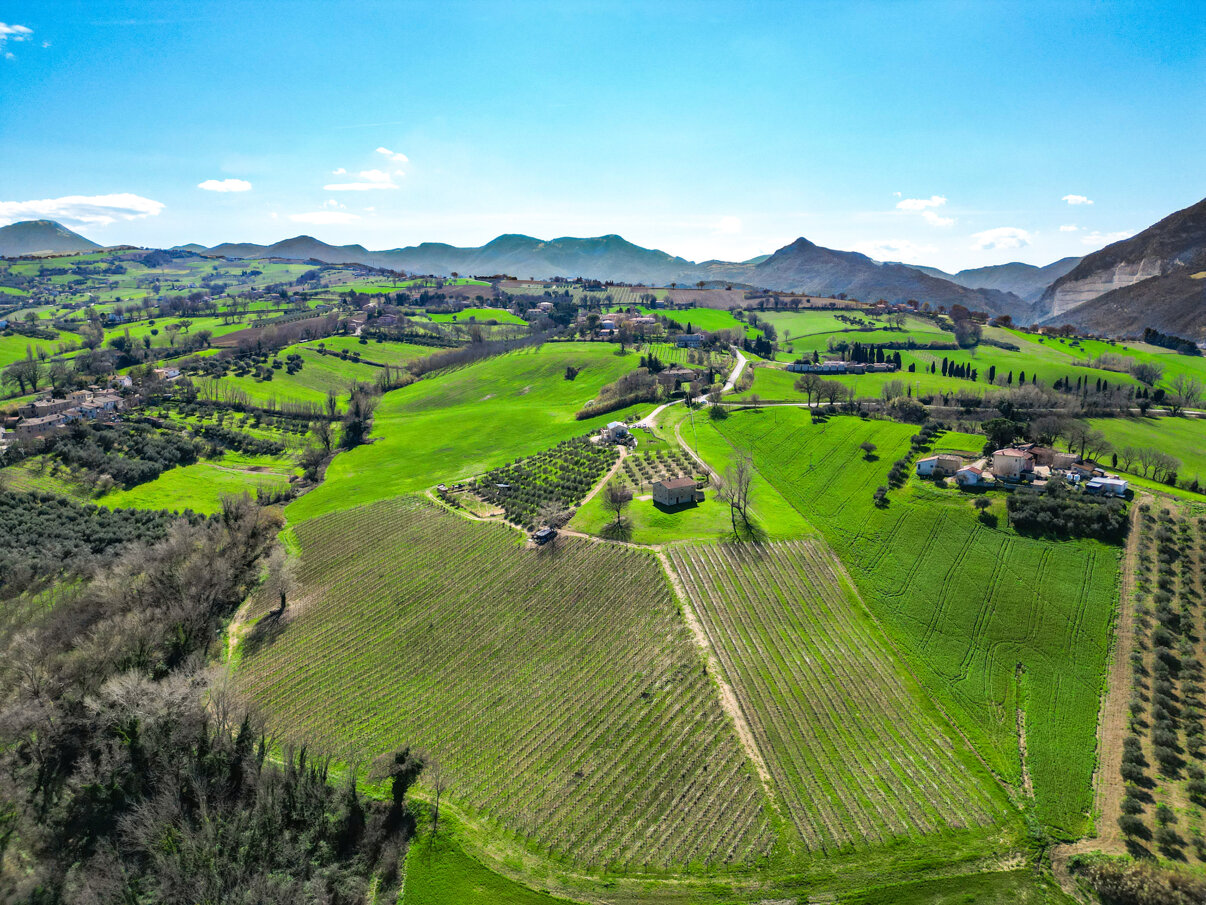 Sassodivino