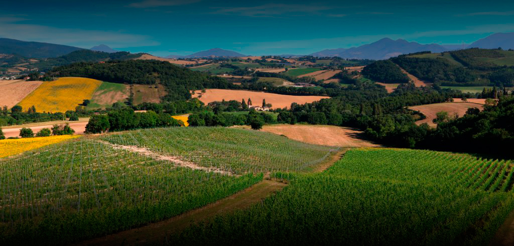 Tenuta Grimaldi