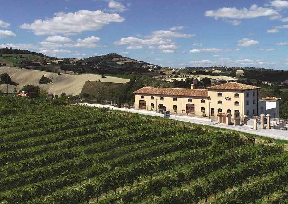 Tenuta Musone