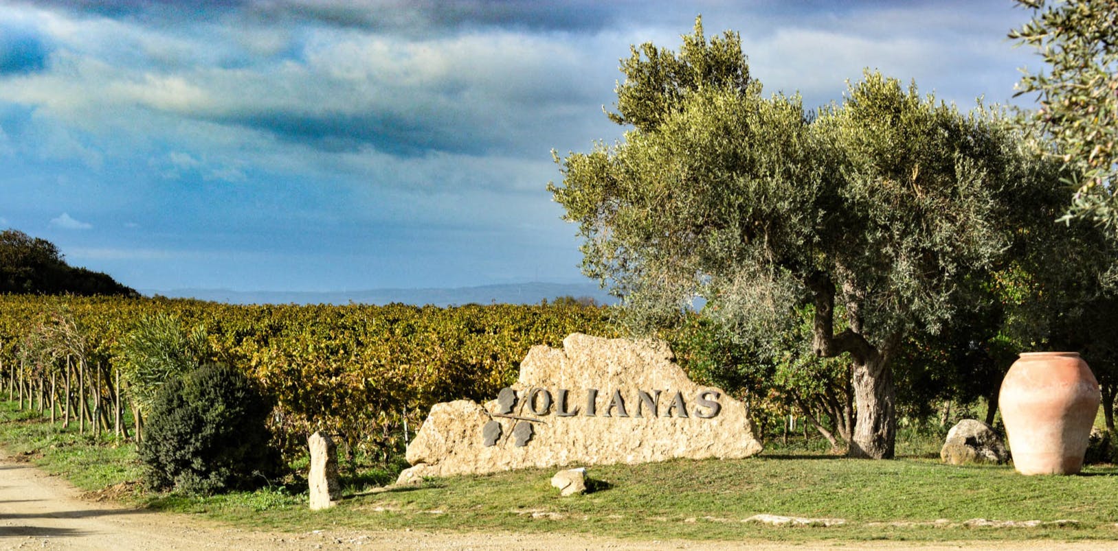Olianas