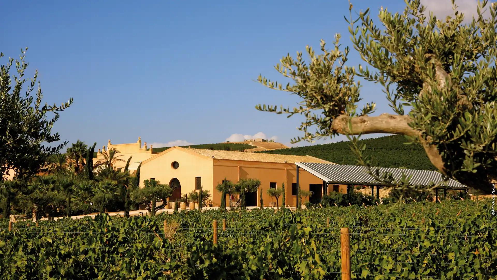 Donnafugata – Cantine Storiche, Marsala