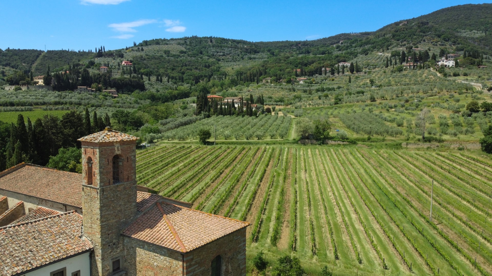 Azienda Agricola Carlo Tanganelli