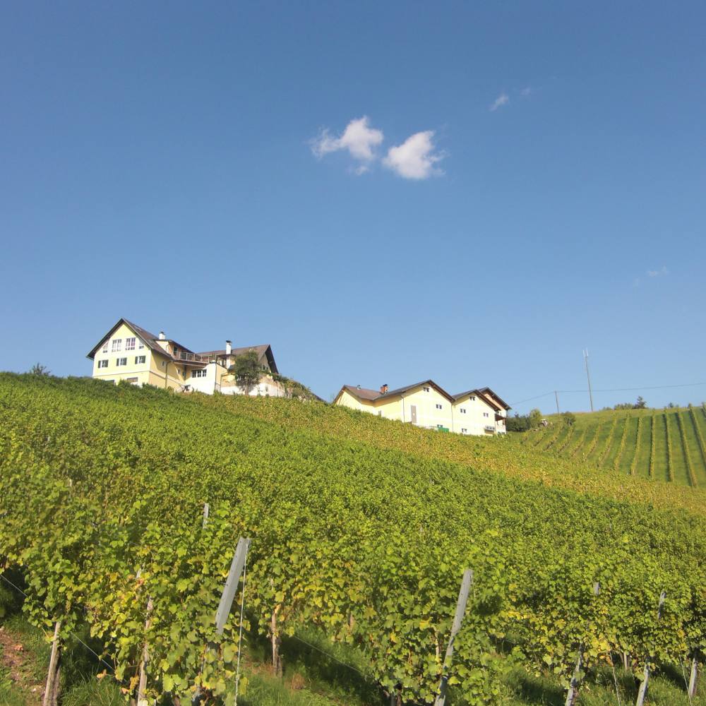 Wieser