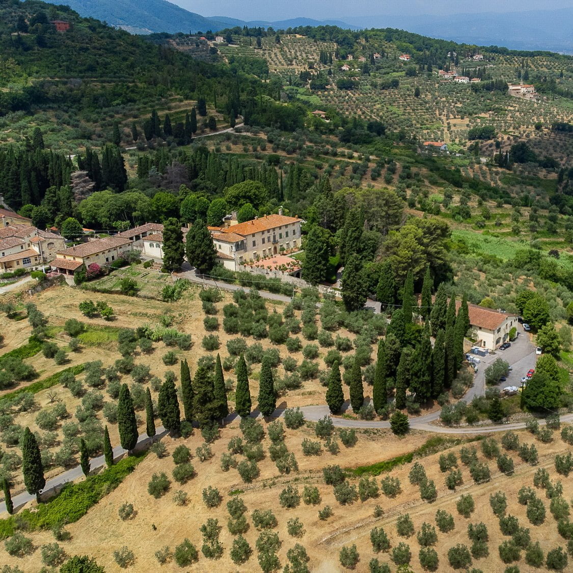 Tenuta Di Capezzana