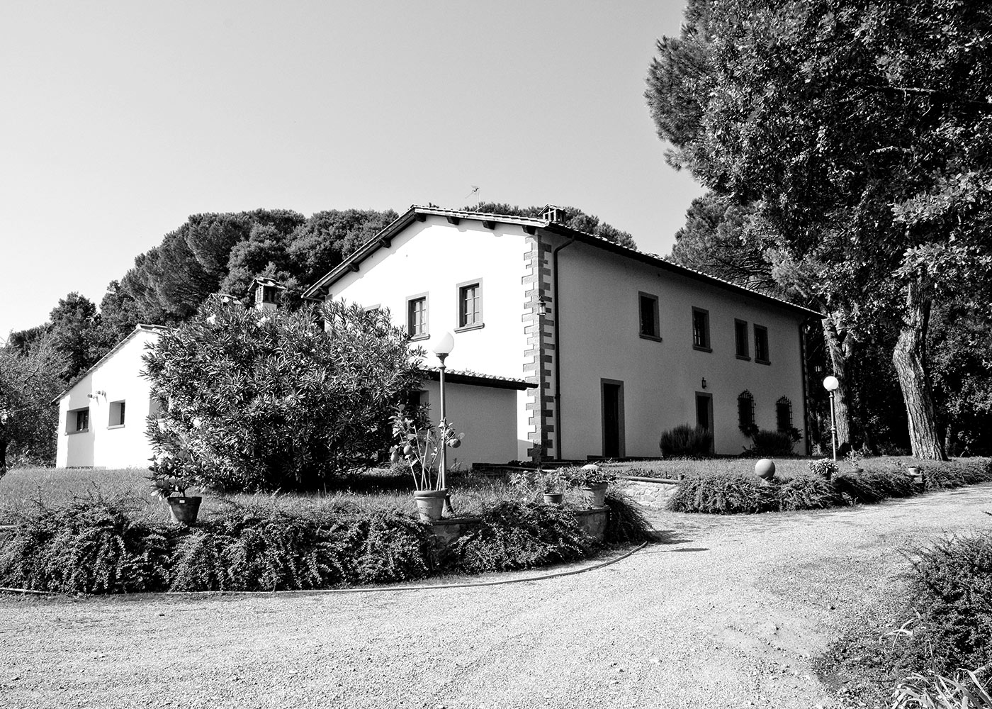 Tenuta La Pineta