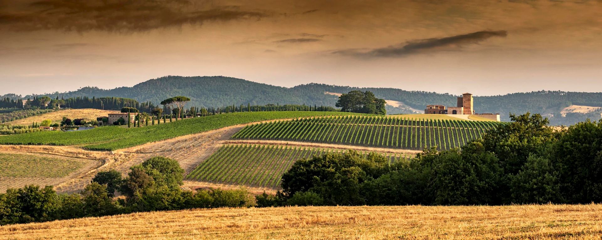 Tenuta Monterosola