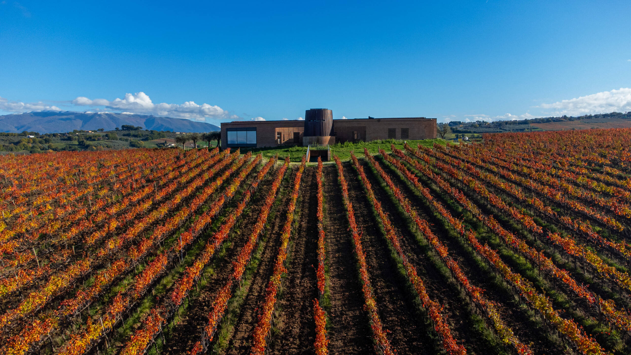 Cantine Briziarelli