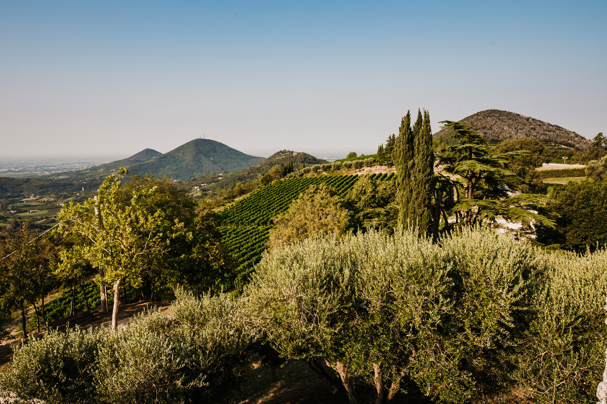 Le Volpi & Monte Fasolo