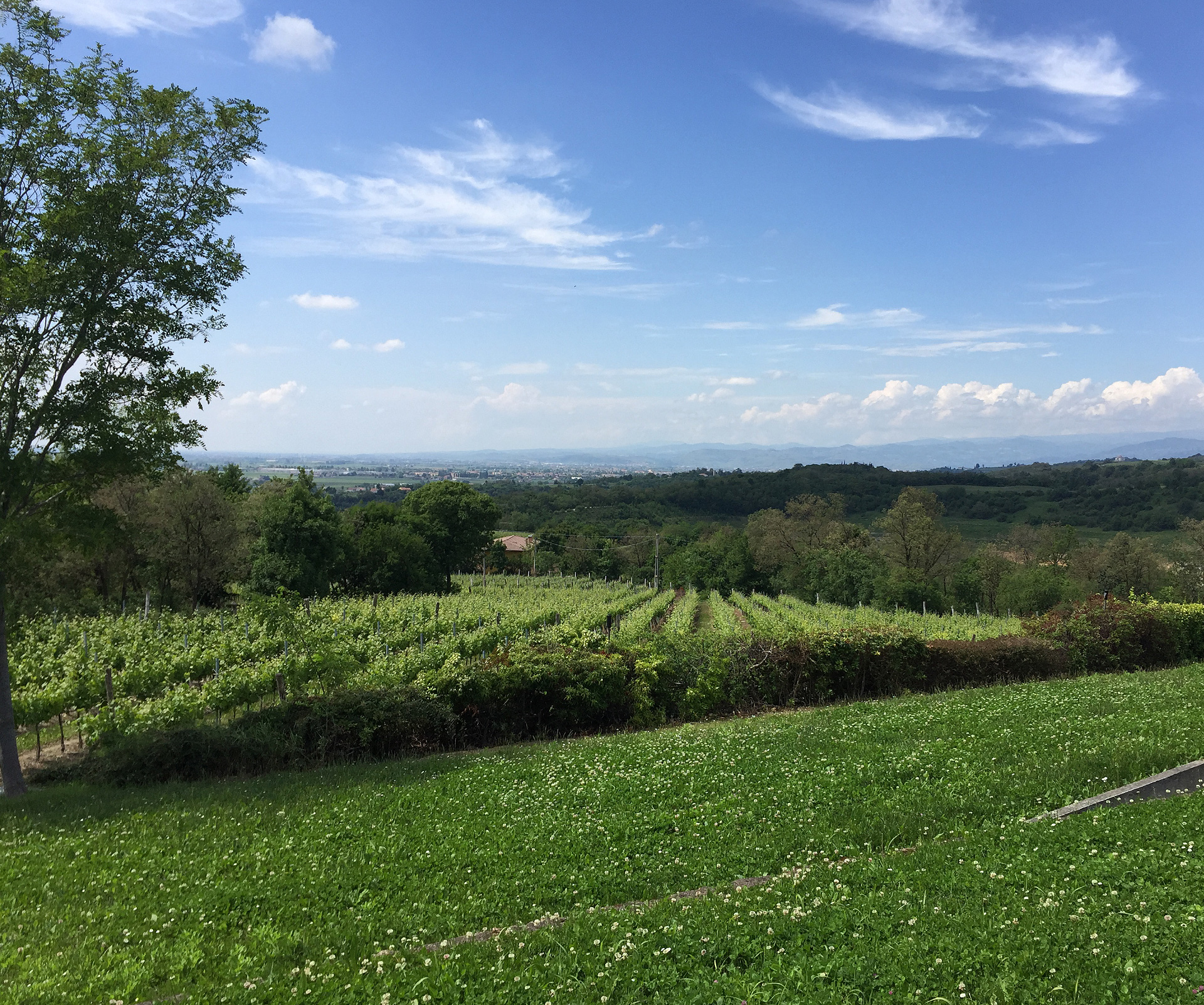 Tenuta Zai