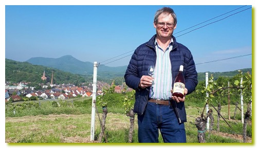 Weingut Killmeyer