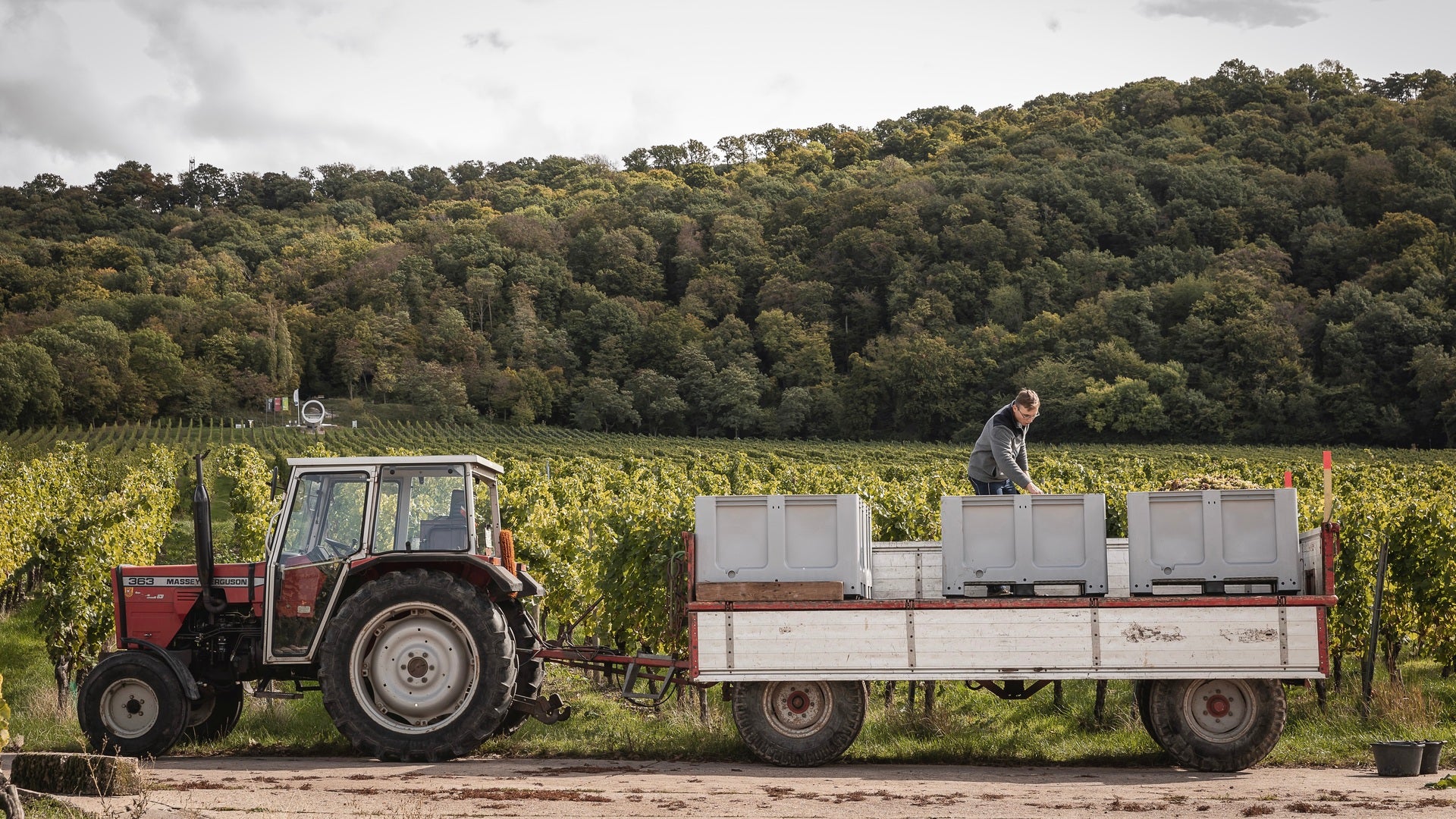 Weingut Melber