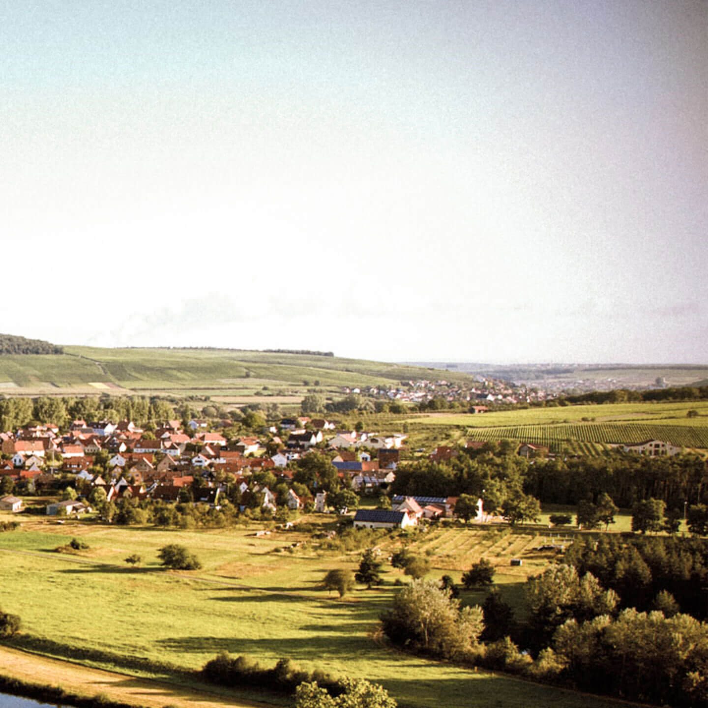 Weingut Braun