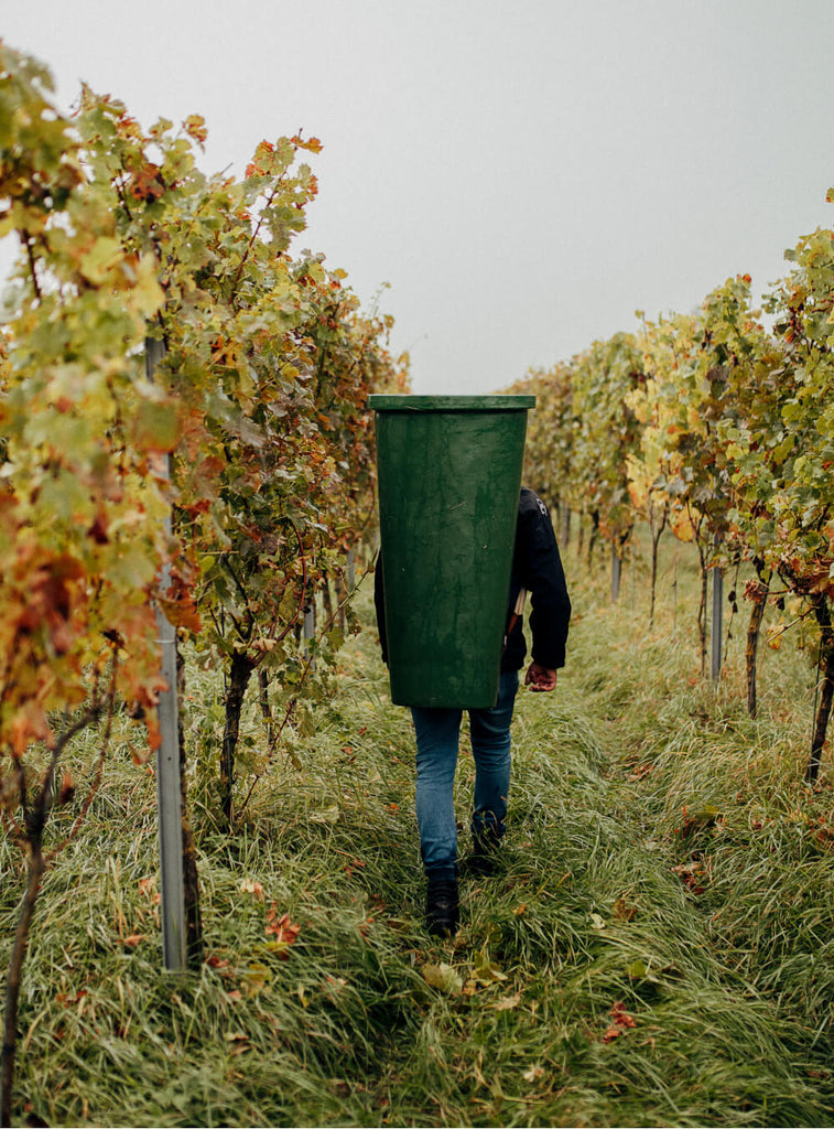 Weinmanufaktur 3 Zeilen