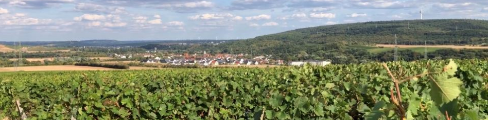 Weingut Gernot Bäder