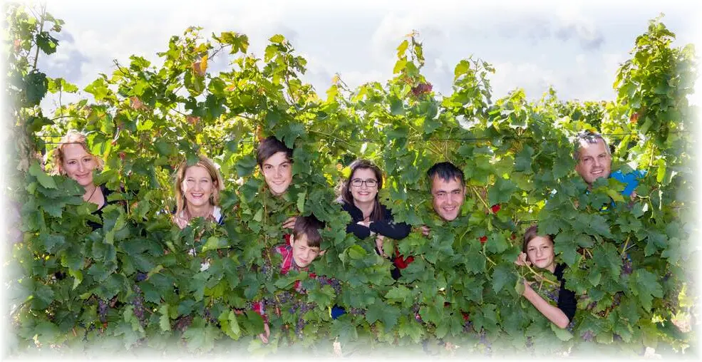 Weingut Gilda Moll