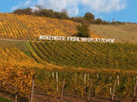 Weingut Schauß