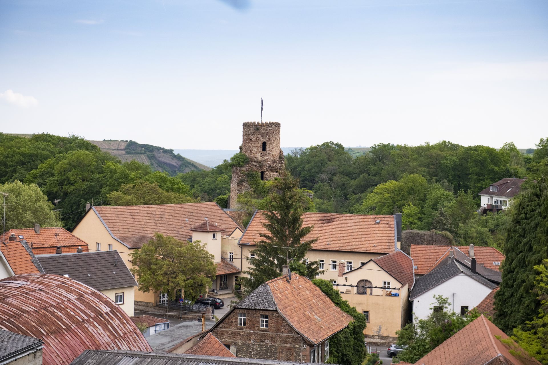 Weingut Diel