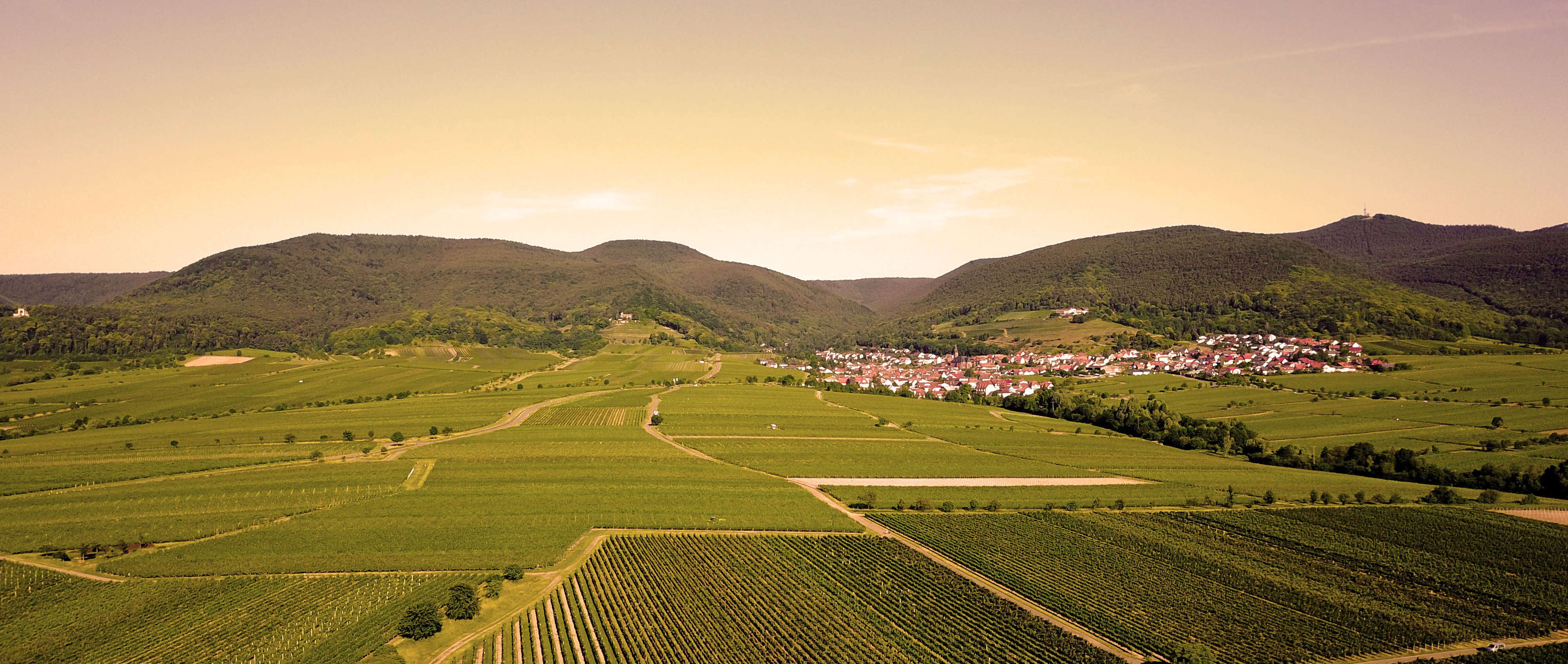 Weingut Gernert