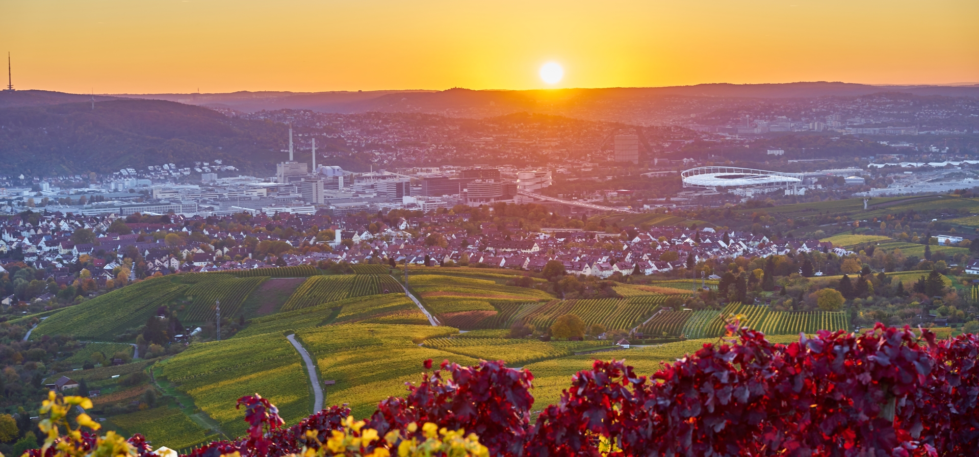 Weingut Warth