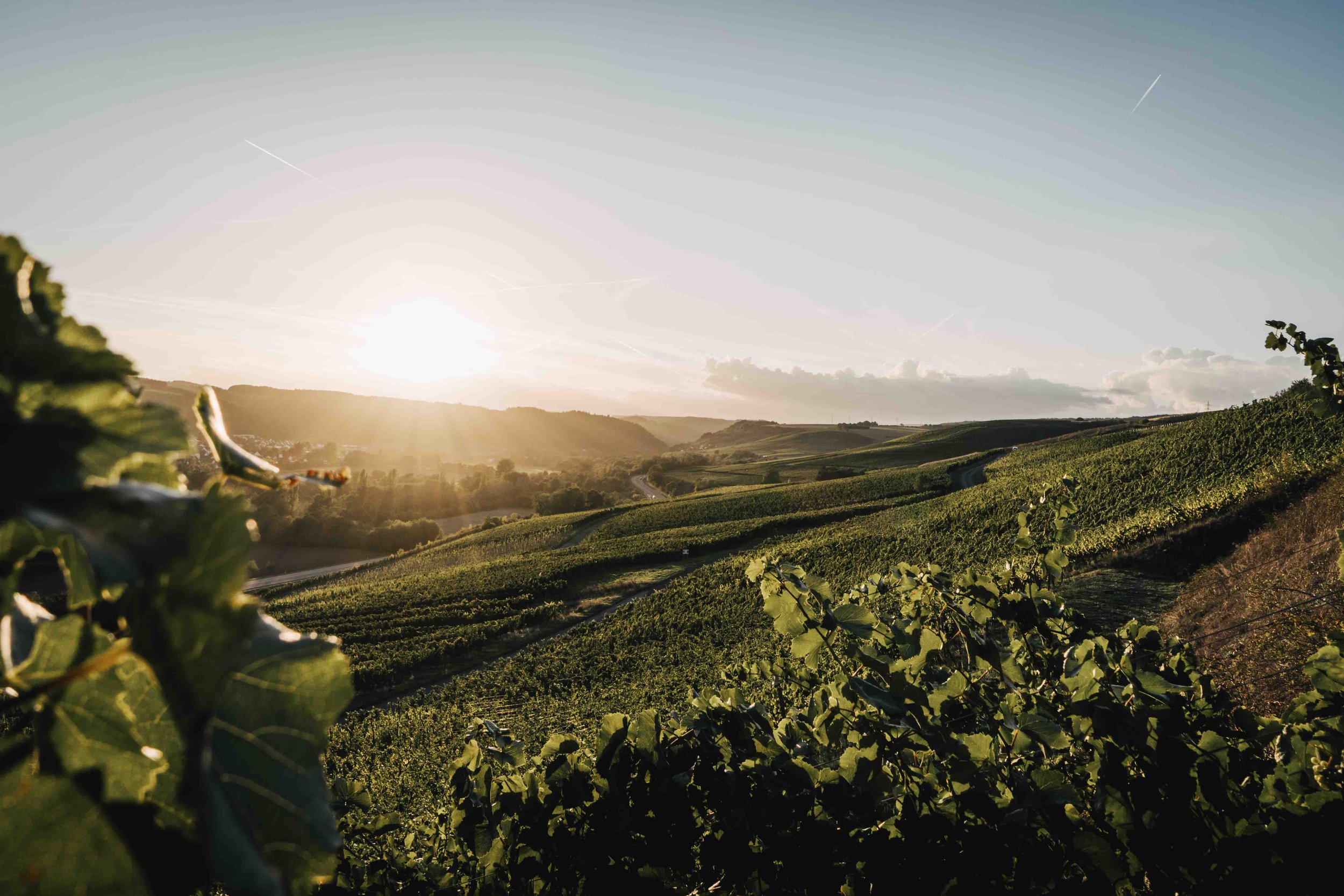 Weingut Alt