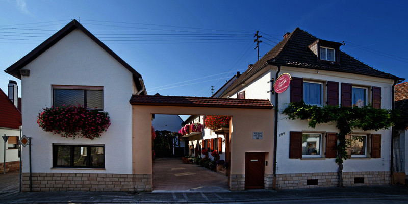 Weingut Syring-Lingenfelder