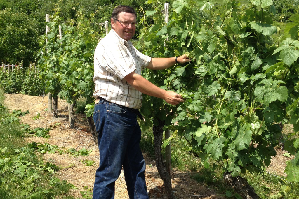 Weingut Christian Scholtes