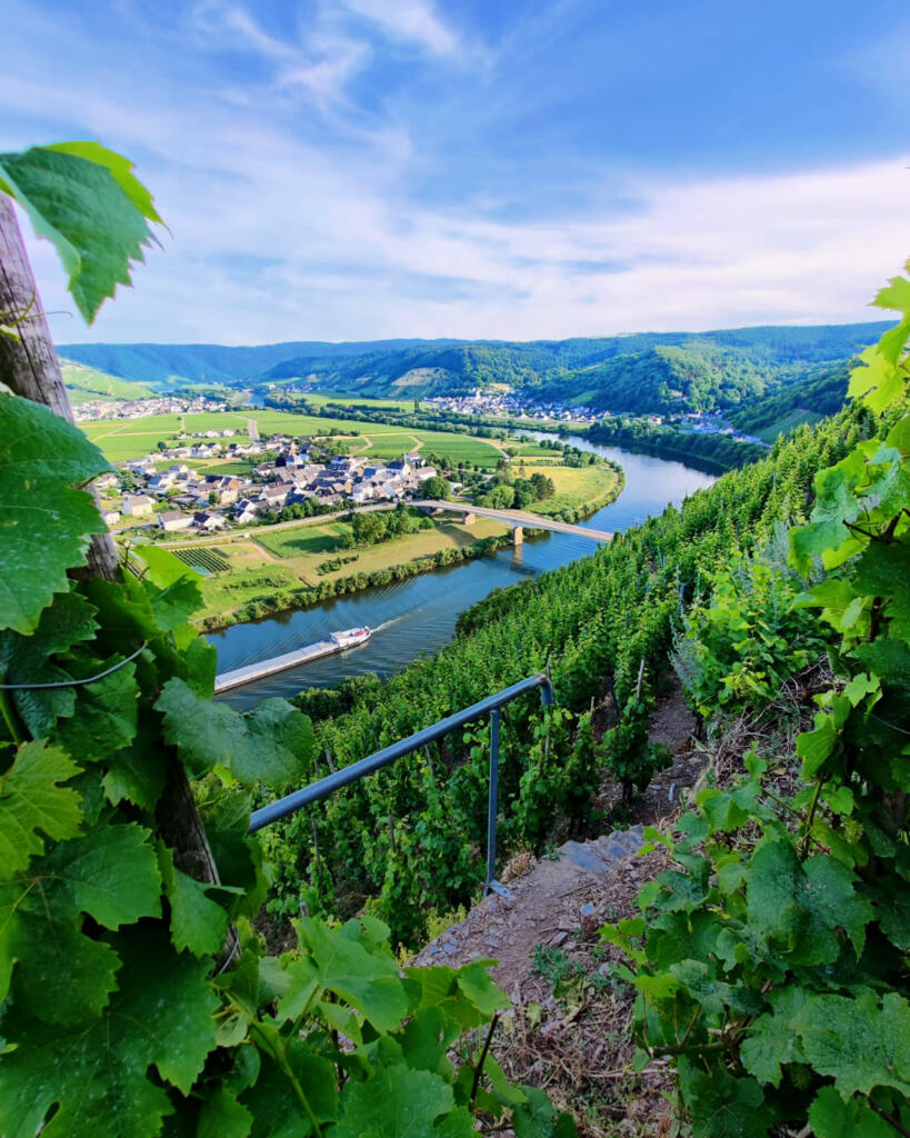 Weingut K-J Thul