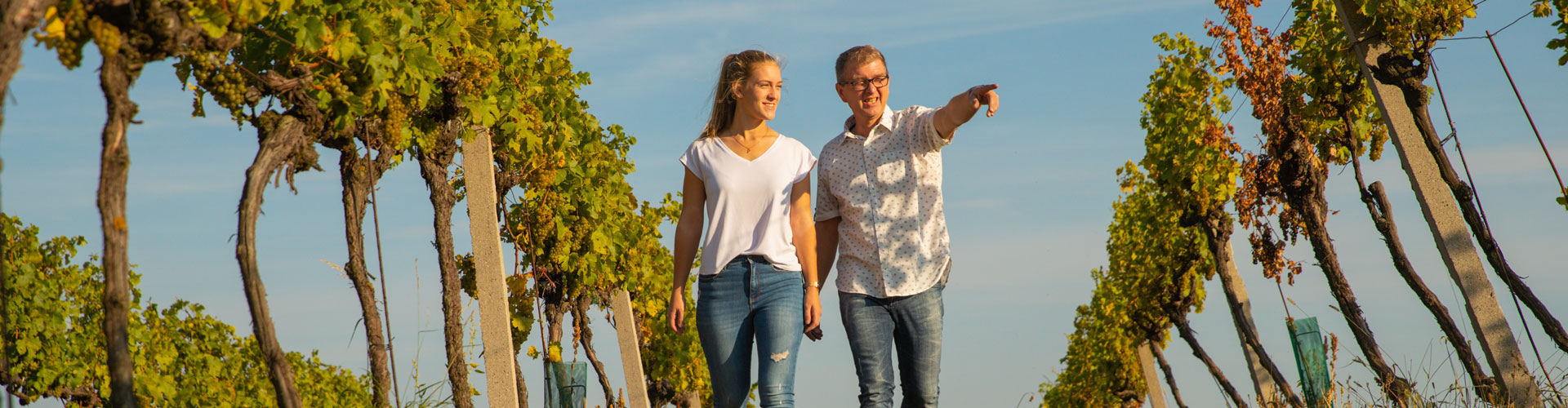 Weingut Traunfellner