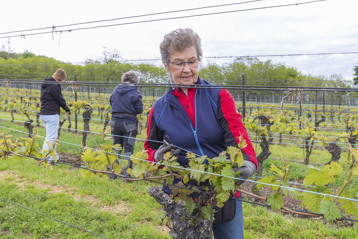 Weingut Matyas