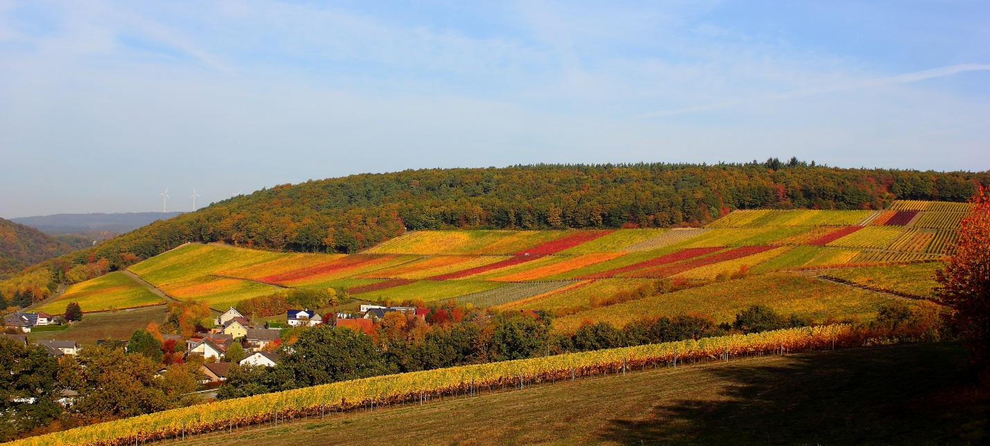 Weingut Seckler