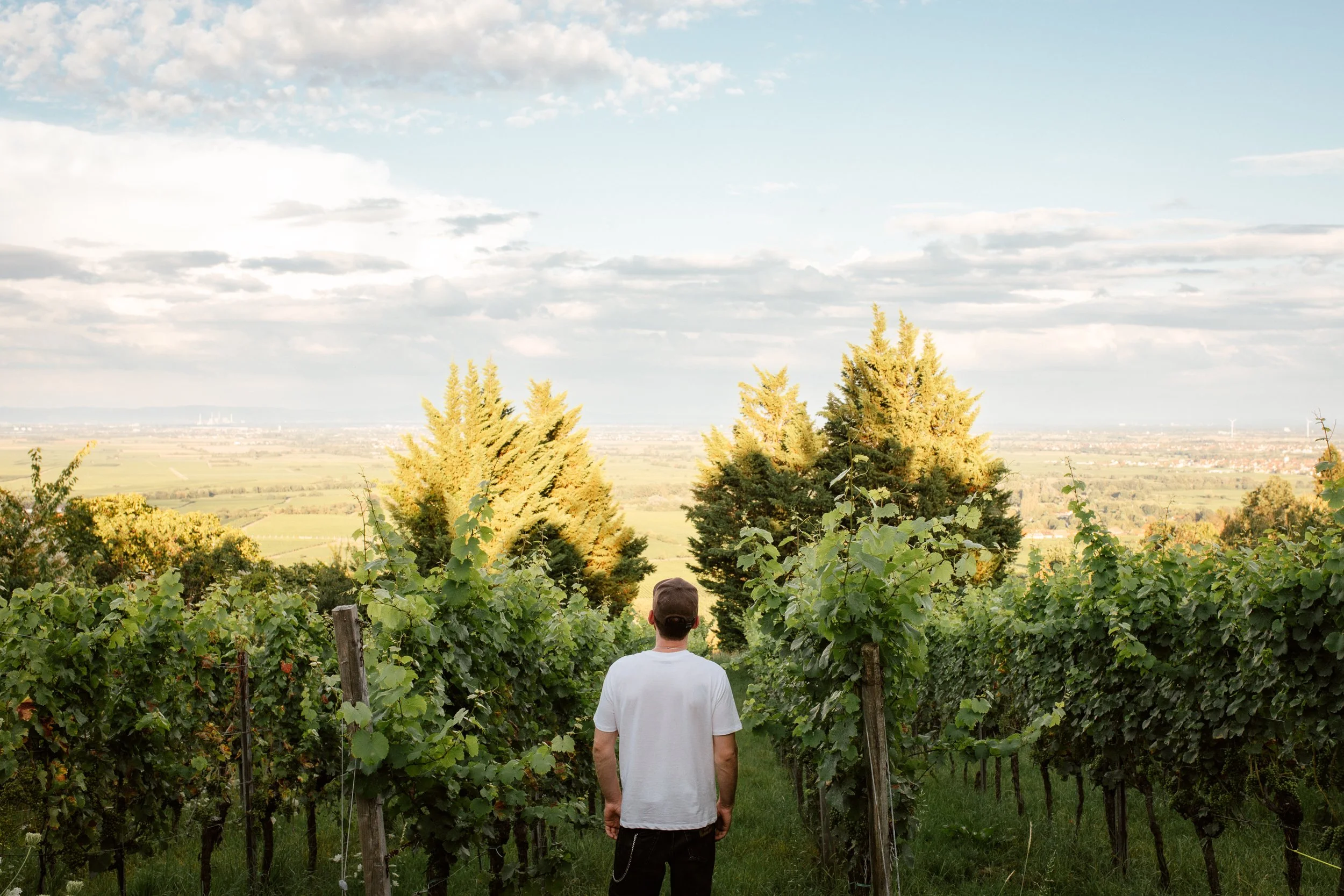 Weingut Eymann
