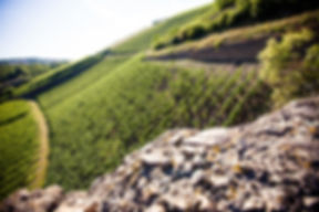 Mathern Weingut und Gästehaus