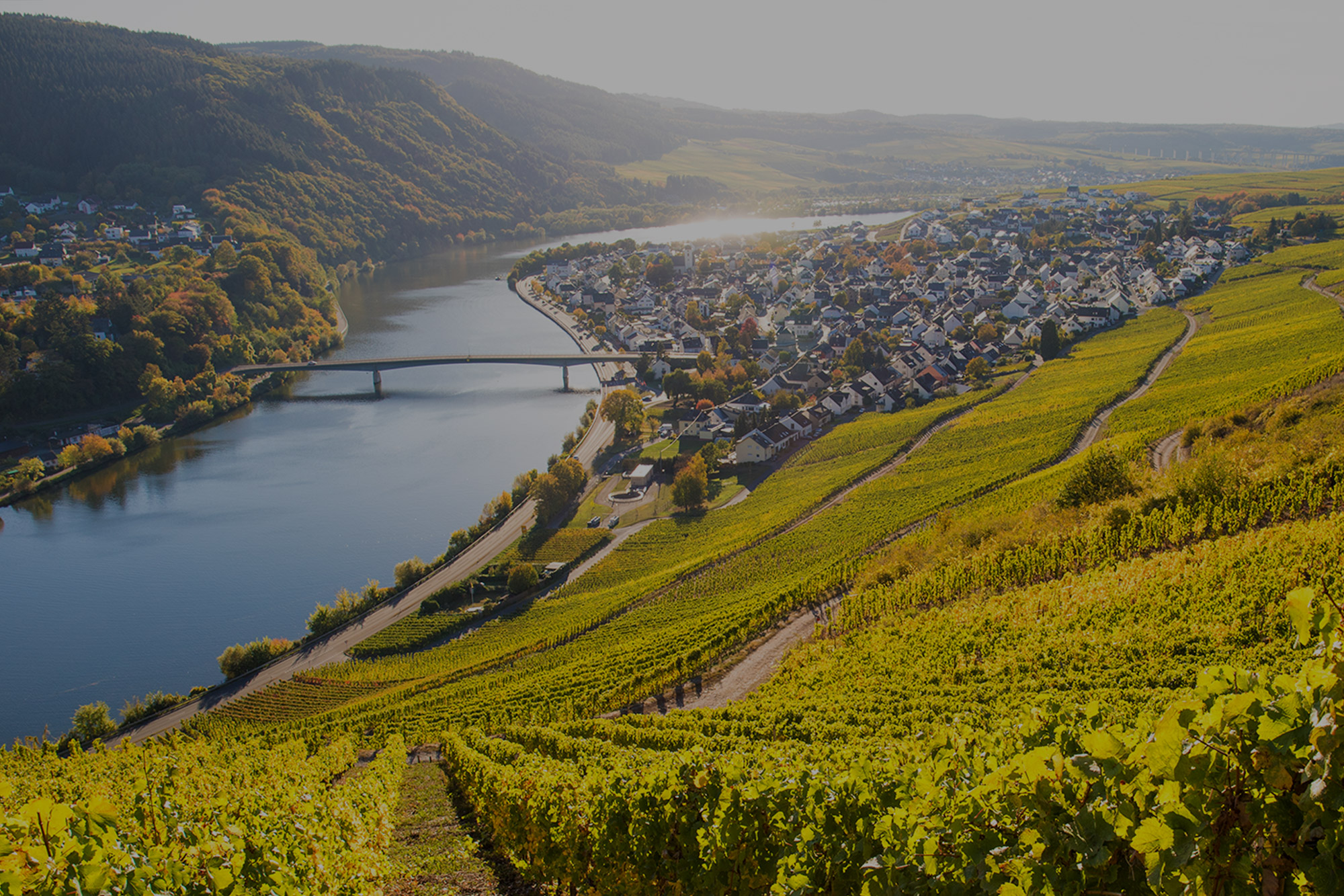 Weingut Klaus Frick