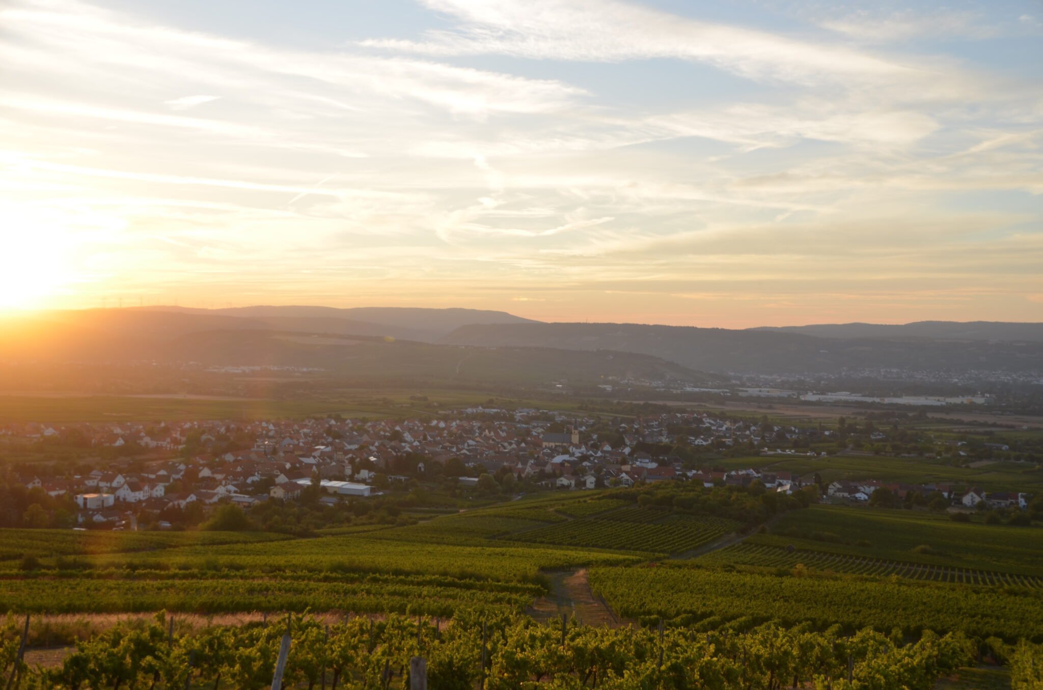 Weingut Hans Pfeifer-Klein