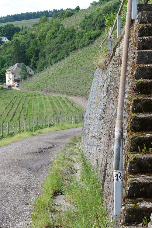 Weingut Karlsmühle