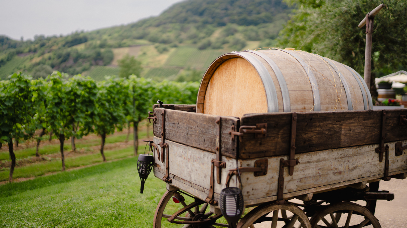 Weingut & Edelobstbrennerei Marx