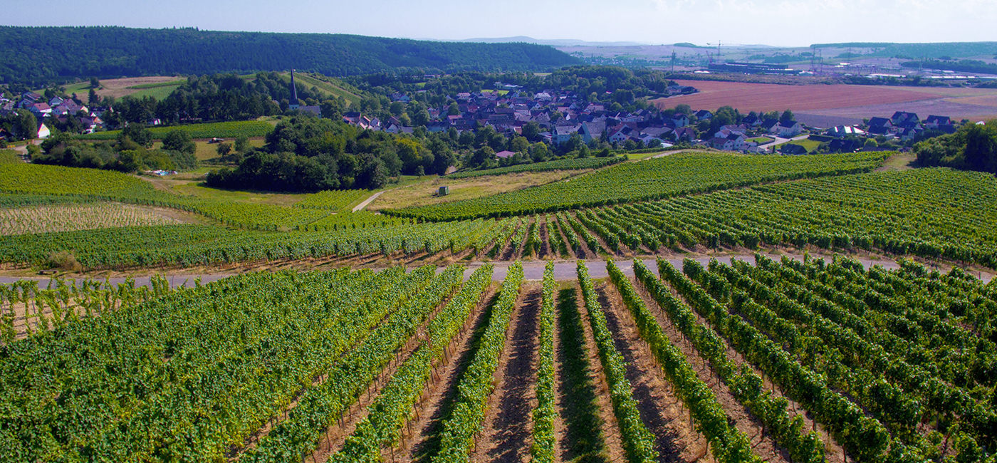 Weingut Merg-Frick
