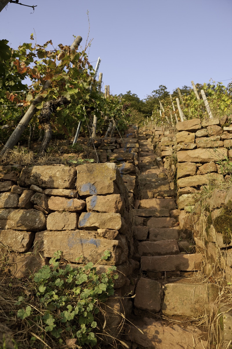 Weingut Steintal