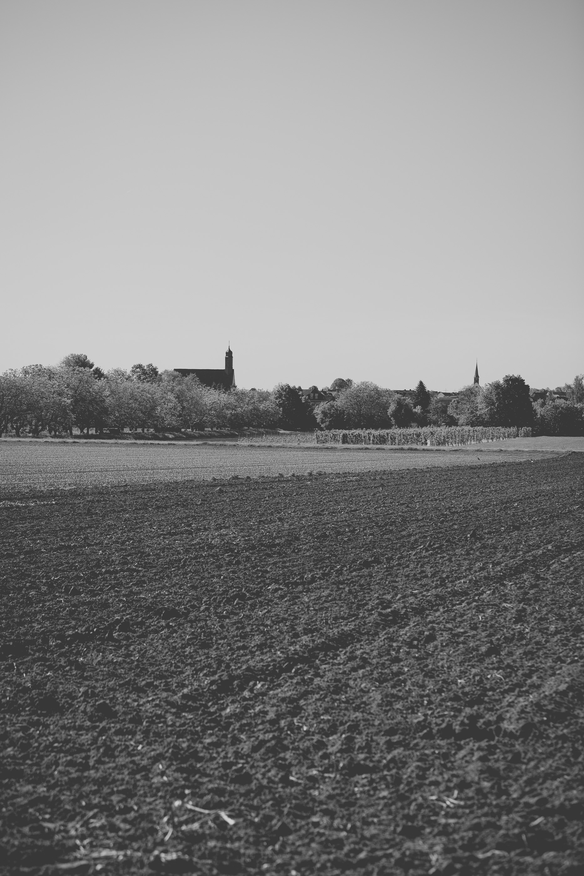 Weingut Braun