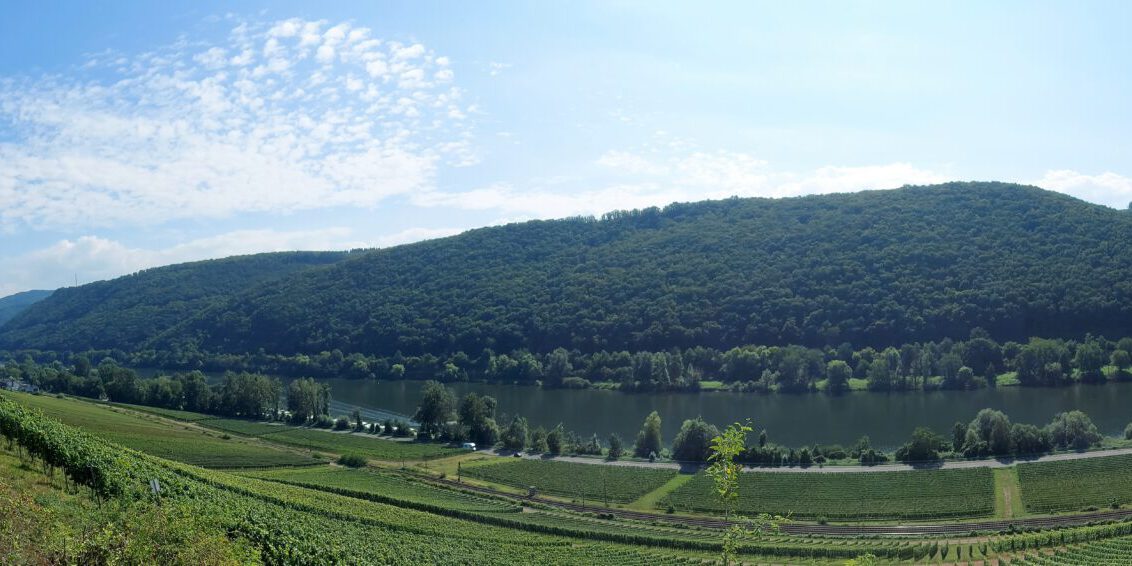 Weingut Josefshof