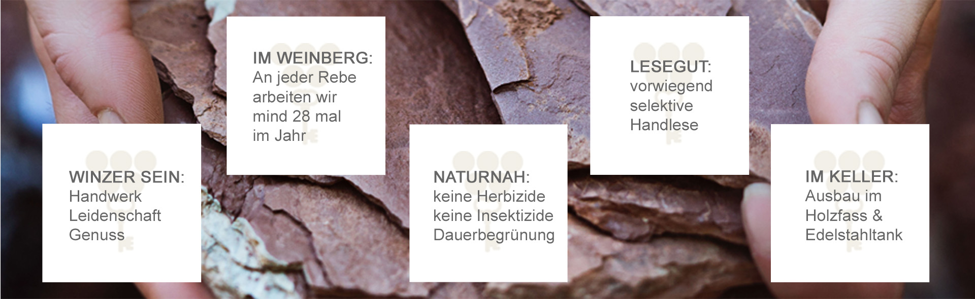 Weingut August Eser