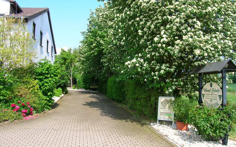 Weingut Blodt