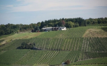 Gästehaus Weingut Konstantinhöhe