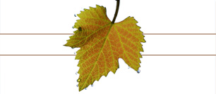 Weingut Jacob Steffen-Erben