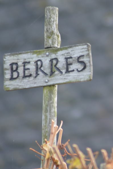 Weingut Berres