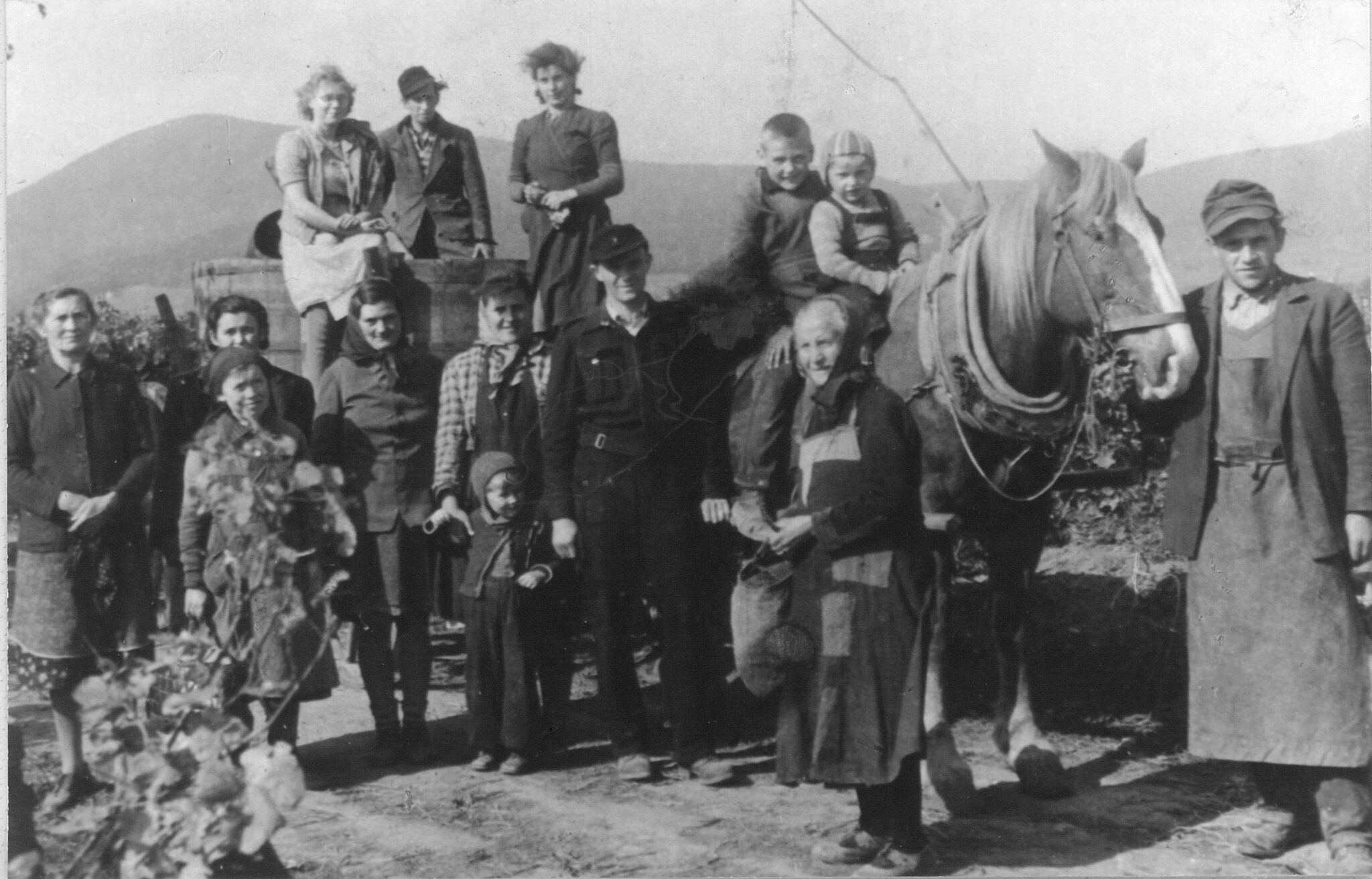 Weingut und Brennerei Gries