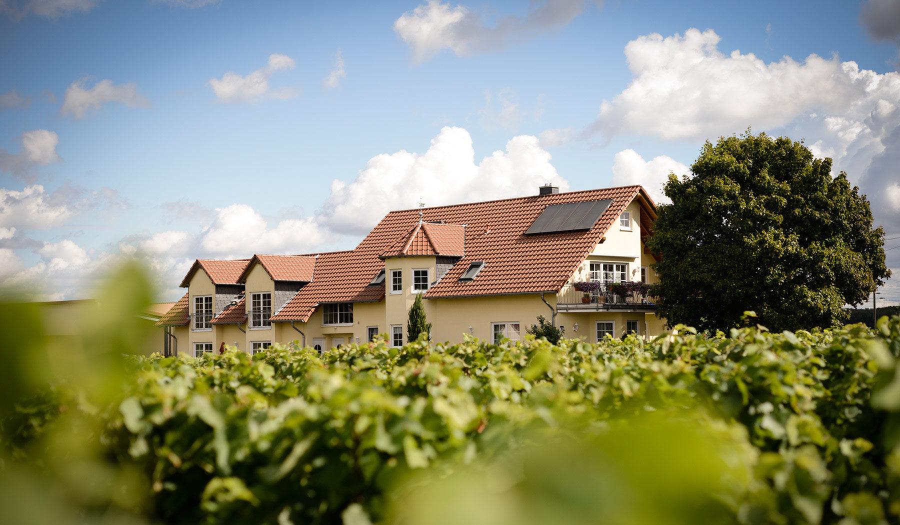 Weingut Otto Becker