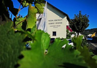 Wein- und Sektgut Albert Steffes